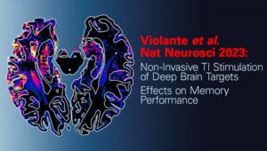 Read more about the article Effective TI Stimulation of the Human Hippocampus and Striatum